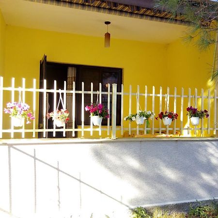 Klea Rooms Velipojë Exterior foto
